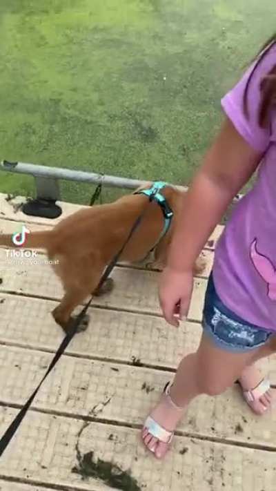 Not mine