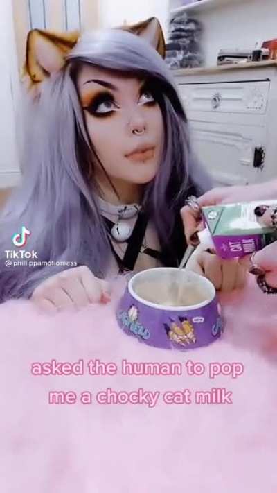 pOp A cHoCkY cAt miLK