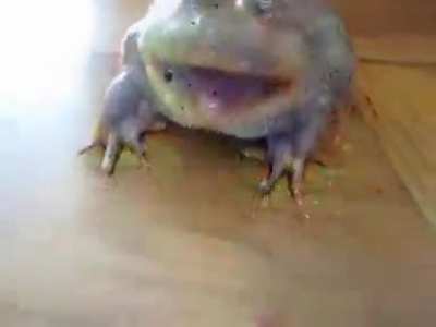 Cursed_Things