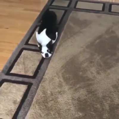 I think he's broken