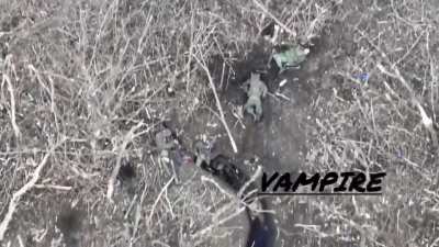 Russian soldiers targeted by drone drops