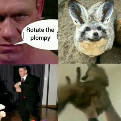 Rotate it