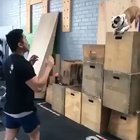 This made my day