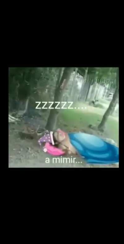Mimir
