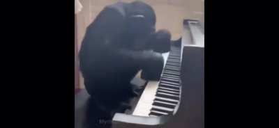 Monke rule