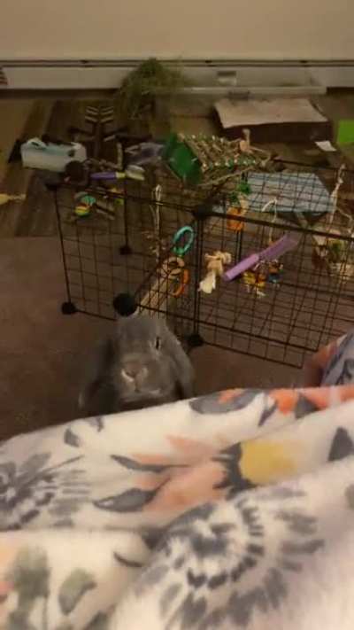 George playing peekaboo!