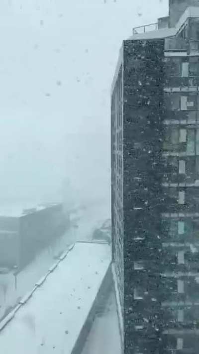 Snowing hard in Calgary