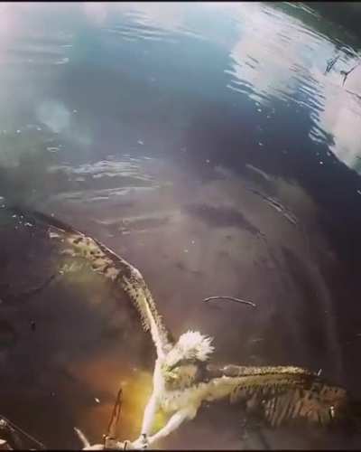Helping a friend