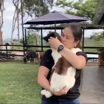 Please enjoy this video of a baby horse being cuddled. It’s something you never knew you needed to see.