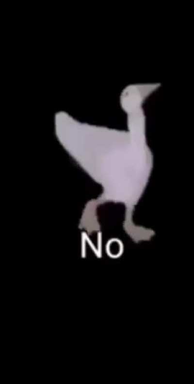 No