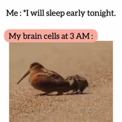 Every time
