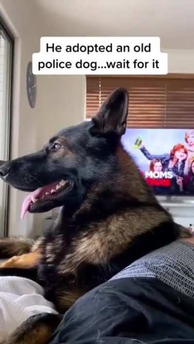 WHAT did you say?