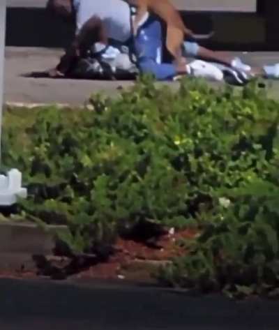Dog dry humps man fighting with his owner.
