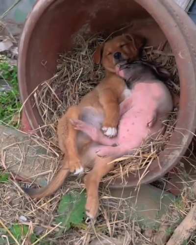 Nap time