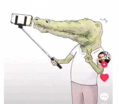 Poor crocodiles (or alligators)