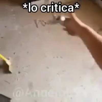 LO CRITIQUE
