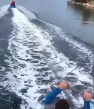 That's gotta hurt...