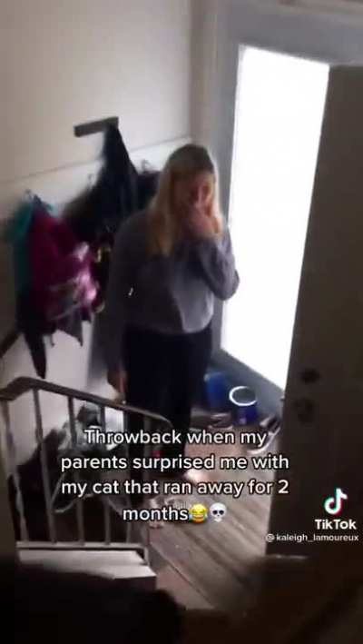 Welcome back kitty
