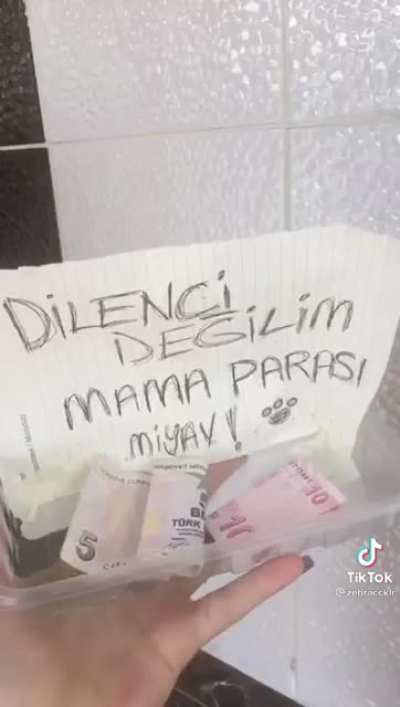 kedim olursa yapcam