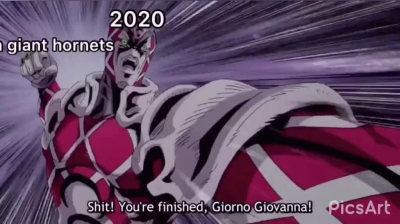 2020 is a big no-no