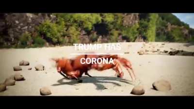 crab rave