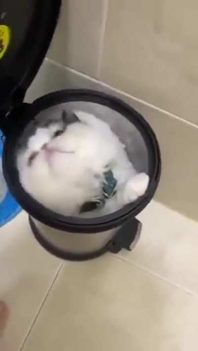 If I fits..
