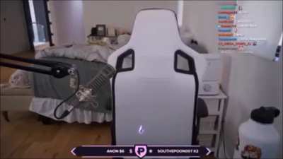 SIMPANZEE!!!!!!!!!!!!!!!!!!!!!!!