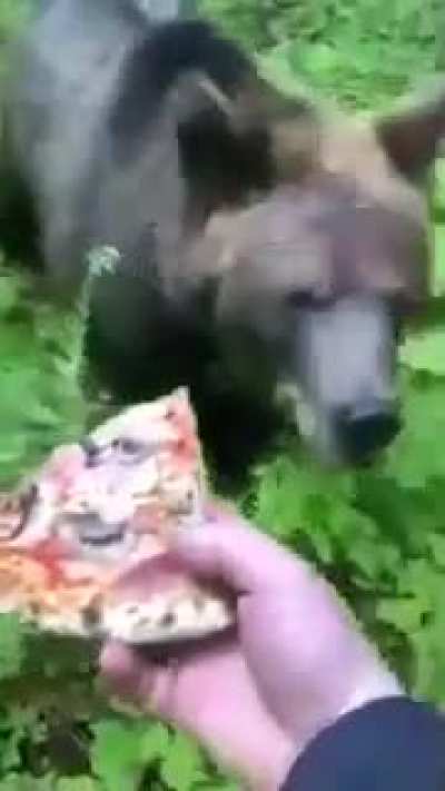 How to win at bear games.