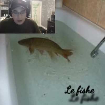 Le fishe.