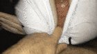 Wet T Shirt Titfuck [Video in Comments]