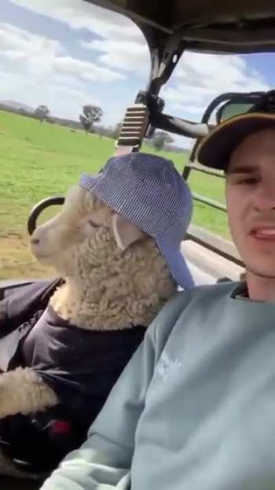 El pana Oscar en el golf 😎😎