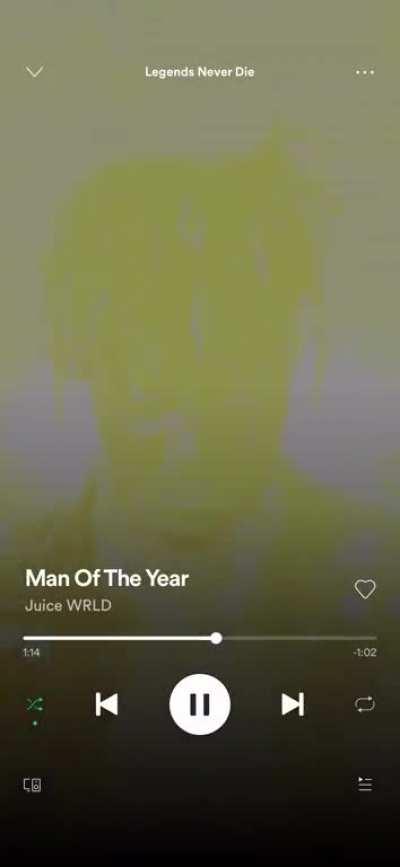 New version of Man of the year