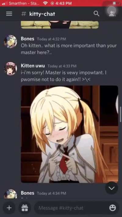 kitten..