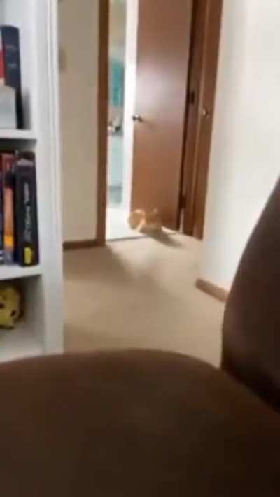 Mhhh