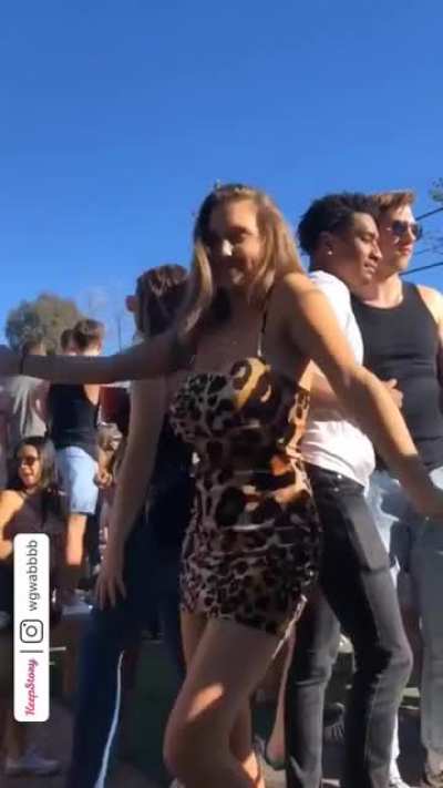 another leopard gif