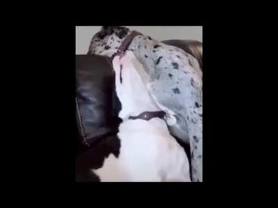 I posted this on r/peoplefuckingdying but I was told to crosspost here, it may have been done before, please tell me if it has