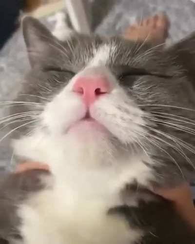 No Kissing Please