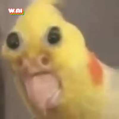 Hmm