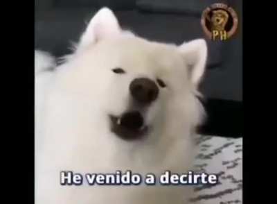 HAZLO!!!