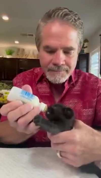 Raised a kitten