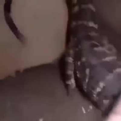 esto es tierno, extraño y preocupante al mismo tiempo