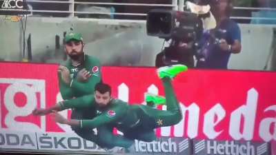 The consistency of Pakistan team..