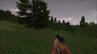 About the Livonian deer...don't look at them.