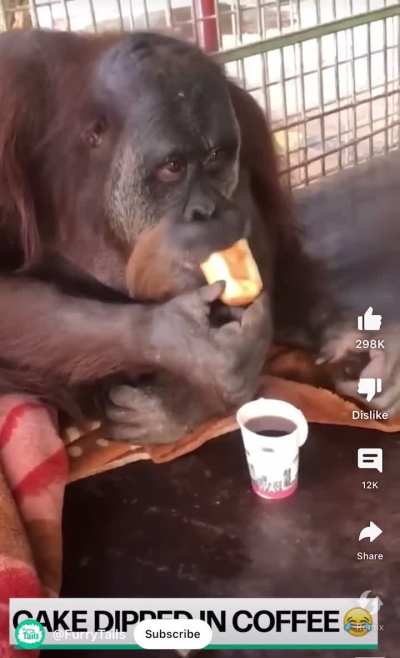 Cousin having some bread and coffee