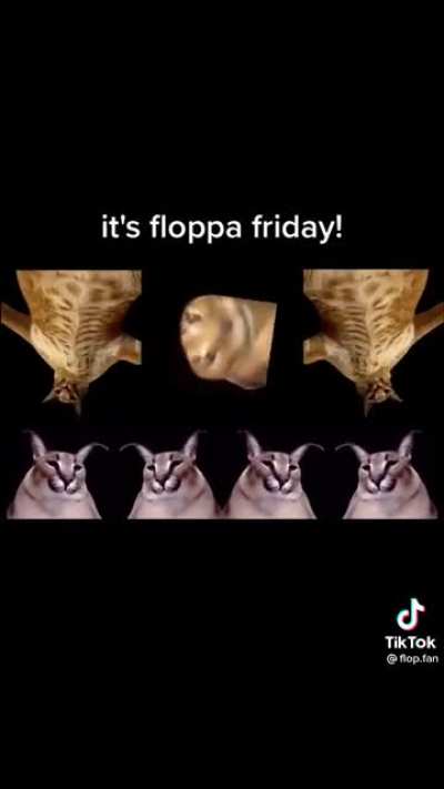 The holy day!