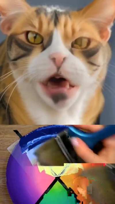 Meow MOEW MOEW MOEW