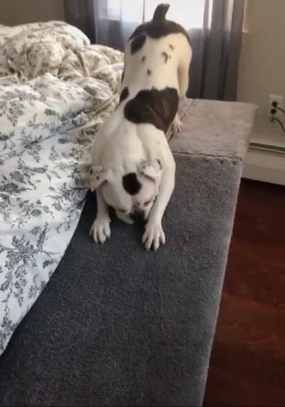 perfect execution