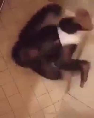 MONKY