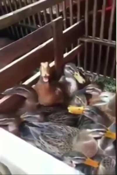 Kkkkkkkkkkk