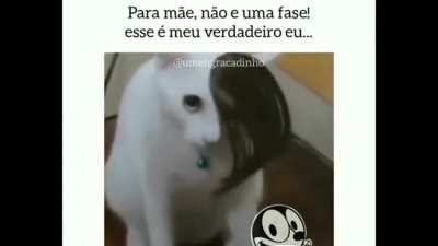 Vcs ai guys